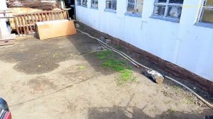 Столько много посуды разной я ещё не находил на Свалке, и другие находки.