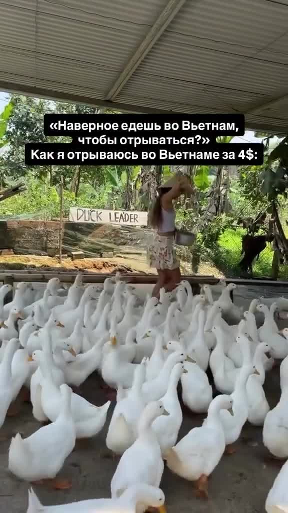 Оторваться во Вьетнаме можно по-разному 😀