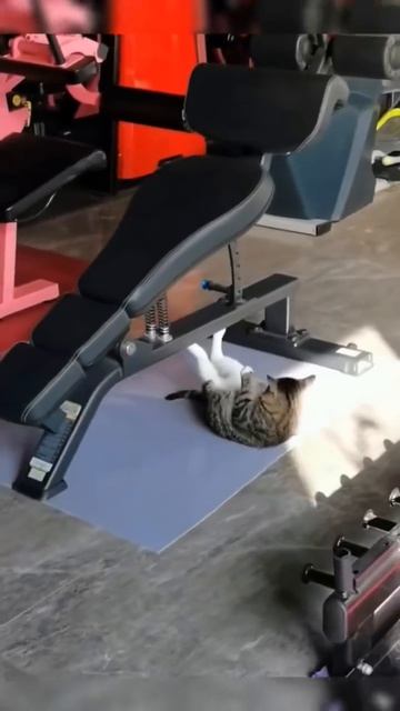 Навыки выживания. Спецтренировка.