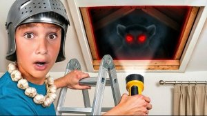 В моём доме что-то ЖИВОЕ!