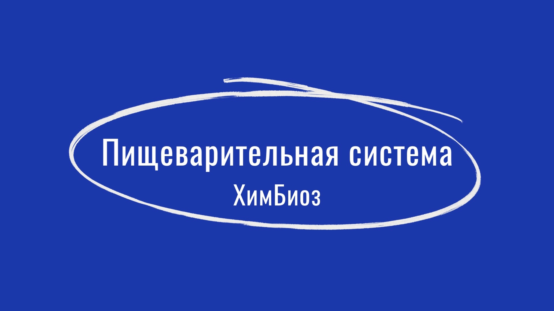 Пищеварительная система 1 часть