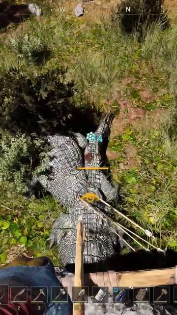 ICARUS'ные драконоежи из крокодилов #games #icarus #мелкиешалости #драконы #ёжики #моднаяприческа