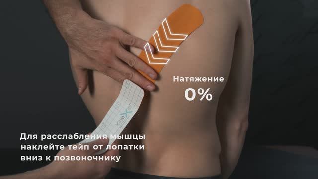 Тейпирование нижней трапециевидной мышцы с KineXib: секрет здоровых плеч и идеальной осанки