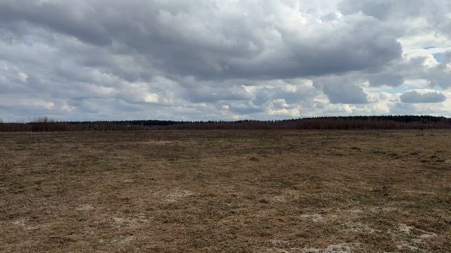 Московская область