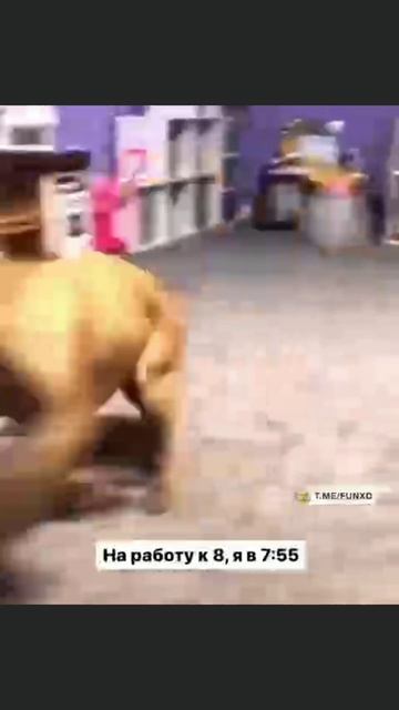 Доброе утро!😅