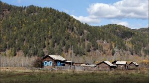 ТАЙГА. ДЕРЕВНЯ. ТАЙНА ТЁМНОГО ЛЕСА И ДЕРЕВНИ! Истории про деревню. СИБИРЬ. Мистика.