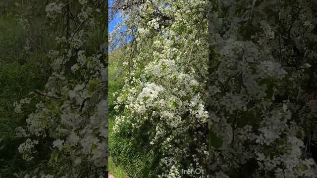 Незапланированный выезд 