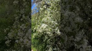 Незапланированный выезд 😁