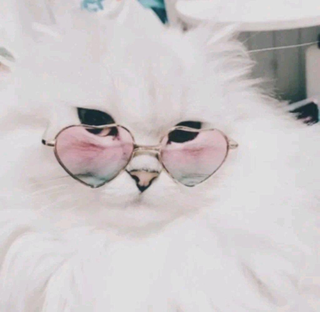 что-то нормальное зайди и посмотри