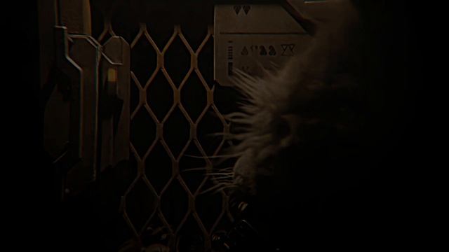 Xalv - Imagination Music Video