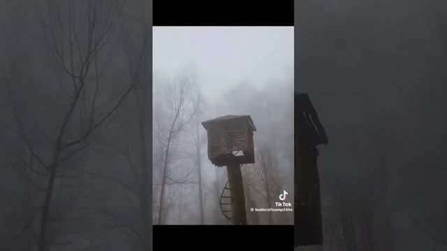 ПОСТРОЙКА ДОМА НА ДЕРЕВЕ