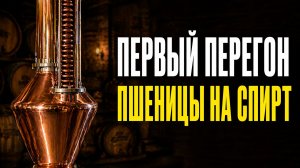 Первая перегонка пшеничной браги. Спирт-сырец под ректификацию!