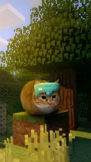 Я хз что писать