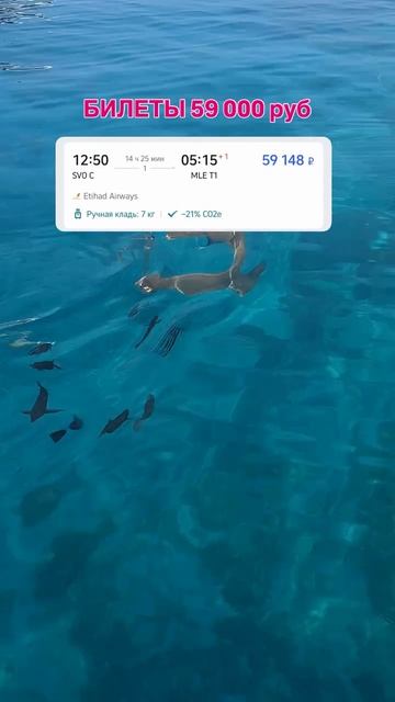 irina_reeznik - я Ира провожу авторские туры на Мальдивы  есть места с 9 по 16 мая смотри про...