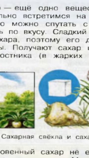 74 Учебник «Окружающий мир» для 3 класса (часть 1)