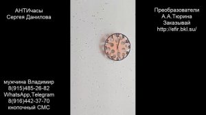 6. Обзорная инф. по Античасам с Сергеем Даниловым на плашках преобразователя А.Тюрина