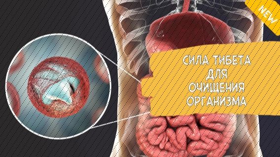 ТАБЛЕТКИ ОТ ОСТРИЦ У ВЗРОСЛЫХ ❕