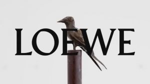 Показ женской коллекции Loewe весна-лето 2025