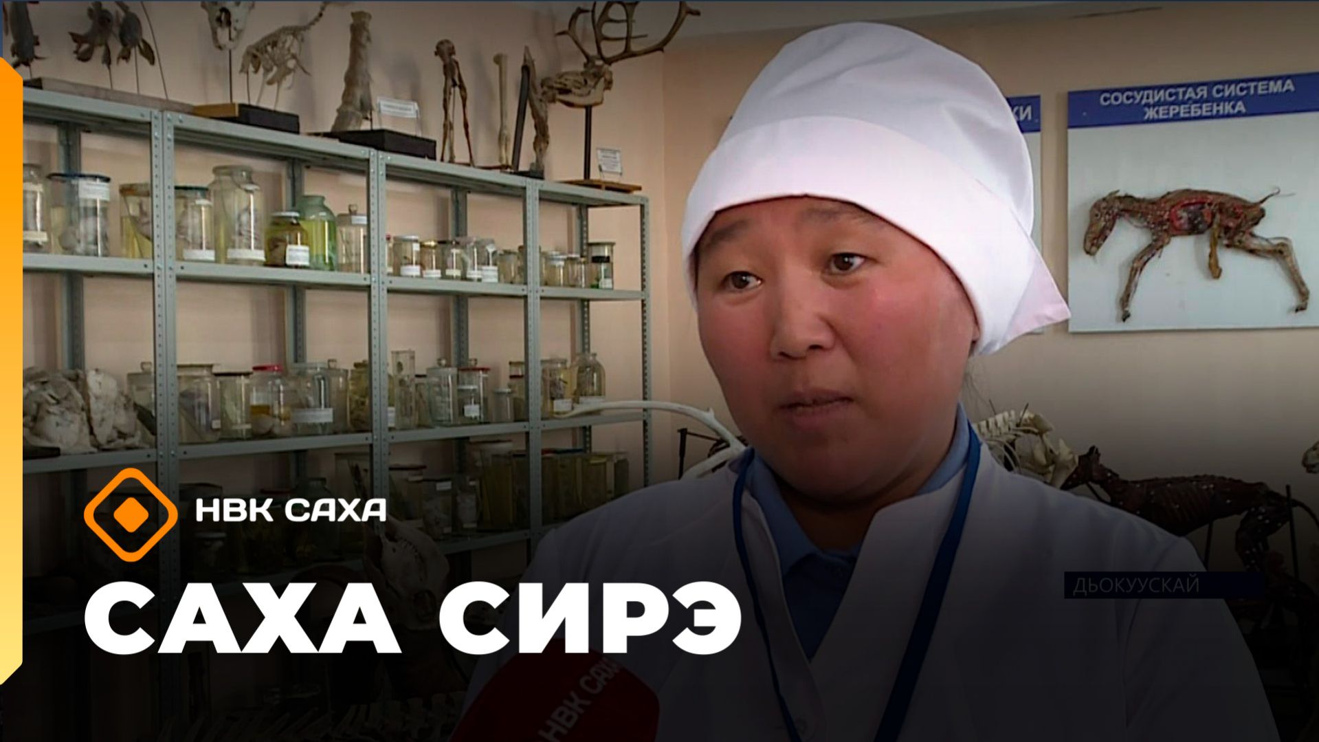 «Саха сирэ» информационнай биэрии. Муус устар 23 күнэ 13.30