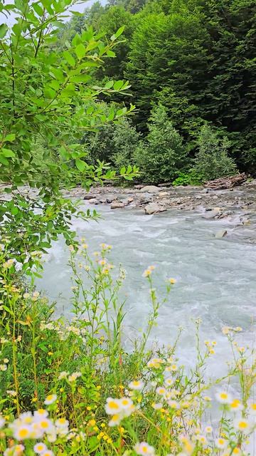 Река Мзымта в Роза Хутор