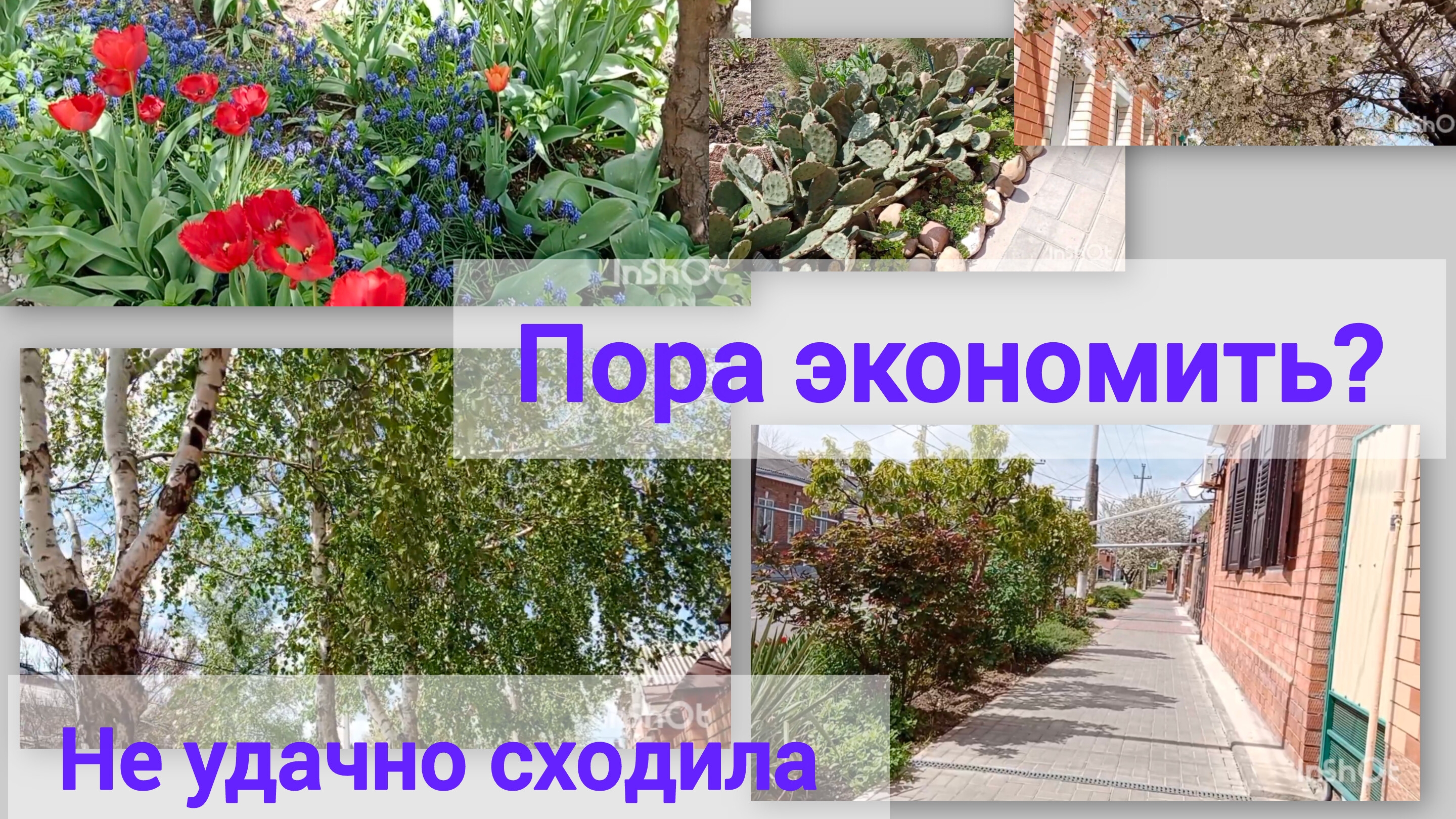 22.04.26г. В Ейске +10☀️ Хотела сэкономить... Напрасно сходила...