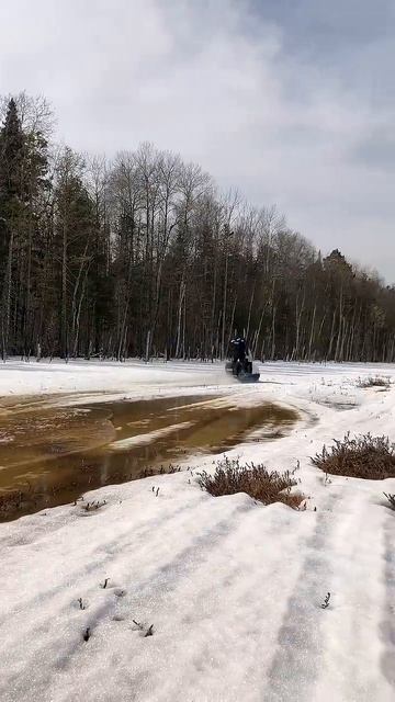 Русский снегоход едет по болоту.