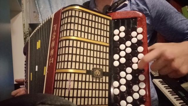 Песня Лебеди  Пелюгины кавер на баяне разбор .