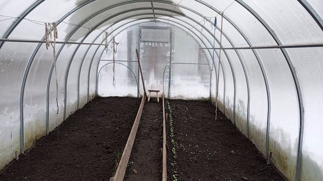 ПОДГОТОВКА ТЕПЛИЦЫ К ПОСАДКАМ.