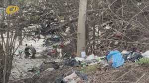 ОСУШАЕМОЕ БОЛОТО РЯДОМ С КЛАДБИЩЕМ 10-ГО МИКРОРАЙОНА ВСКРЫВАЕТ ГОРЫ СБРАСЫВАЕМОГО ПЛАСТИКА И МУСОРА