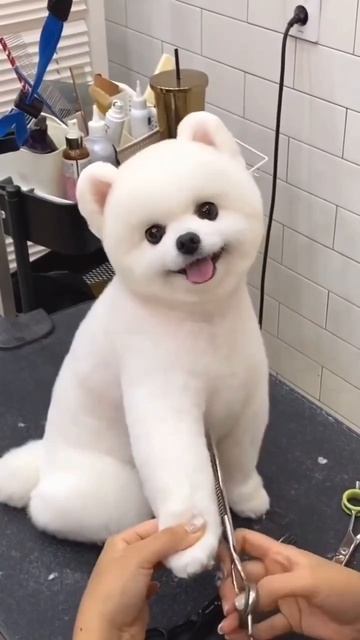 Обояшка 🥰))