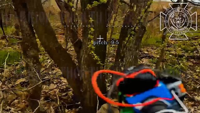 Очередная игра в прятки