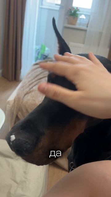 СЛАДКИЙ ПОРОСЕНОК