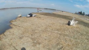 Круиз заехали на Обь Посмотрели памятное дерево 19 века.