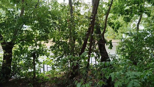 CВЕКРОВЬ_ВСЕМ_КРОВЬ_МОЁ_МНЕНИЕ ФАКЕЛ_ГЕКАТЫ_ЛОЛИТА