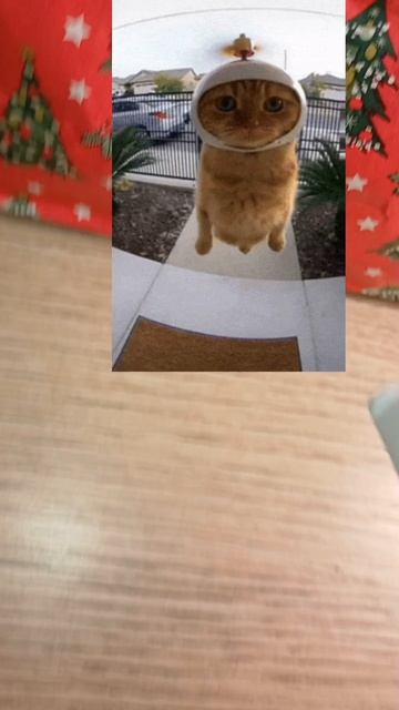 Распоковка подарка 🎁 от лп чееееееек