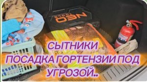 САМВЕЛ АДАМЯН, СЫТНИКИ, ПОСАДКА ГОРТЕНЗИИ ПОД УГРОЗОЙ, ВСЕЛЕНСКИЙ СКАНДАЛ..