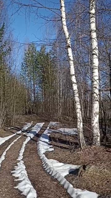 Природа в апреле.