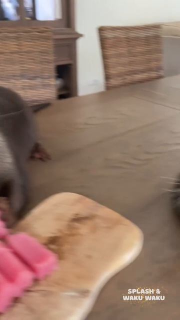 Очень вкусно