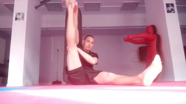 упражнение для тазобедренных суставов