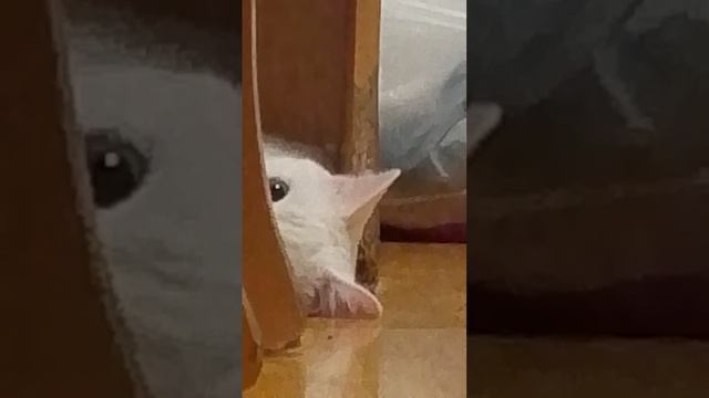 играю с Лунтиком 3 часть