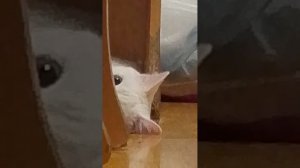 играю с Лунтиком 3 часть