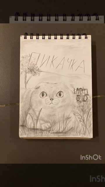 На конкур Кетик