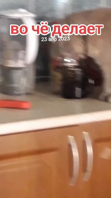 Культурная