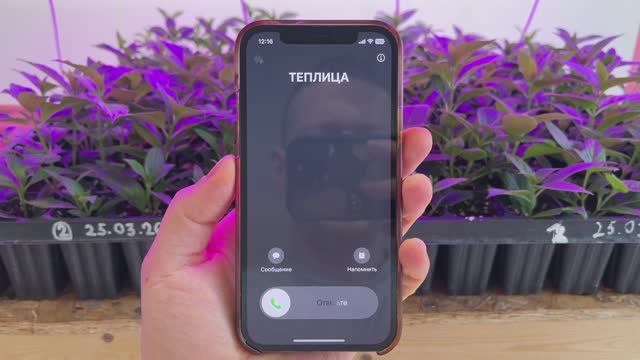 Хватит проверять градусник! ТЕПЛИЦА ПОЗВОНИТ, если температура падает