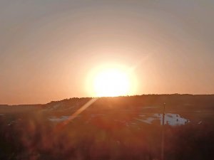 просто стрим)