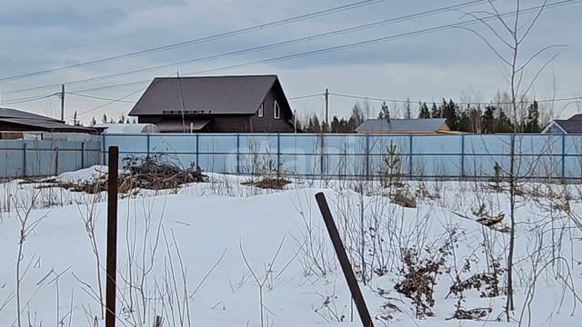 12141439 Пищевик