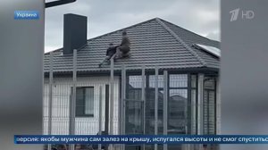 Сбросили с крыши и потащили в машину: кадры мобилизации в Волынской области.