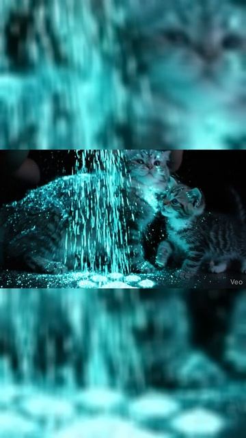 Кот из созвездия Ориона 🐾✨ (Магия Света) | Glowing Sand Cat Magic #shorts #aesthetic