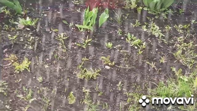 Ангелине скучно принимает меня