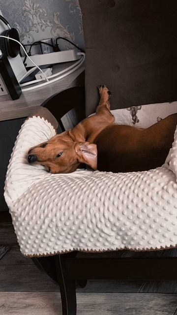 Отдыхаем🤗